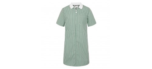 Summer Stripe Ginghem Dress